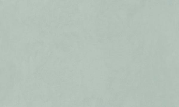 5052-10 Eurodecor обои флизелиновые 1,06*10м/6