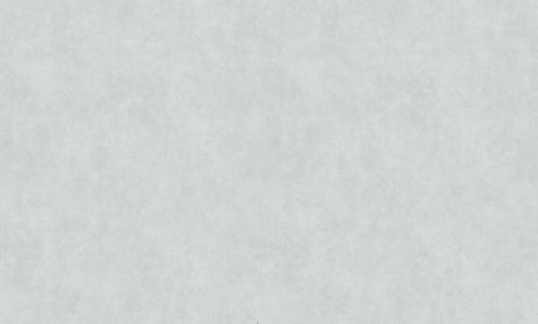 HC71422-14 Home Color обои флизелиновые 1,06*10м/8