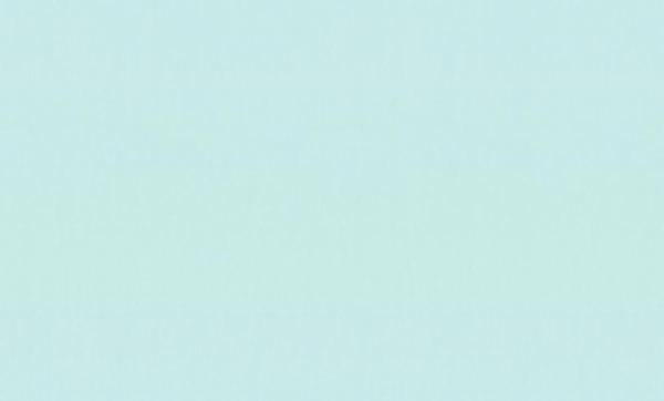 HC71822-67 Home Color обои флизелиновые 1,06*10м/8