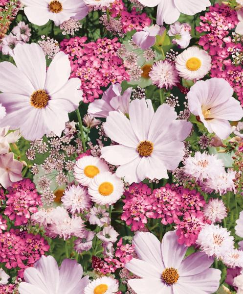 Ромашки 692 344 18 обои флизелиновые 1,06*10м/6